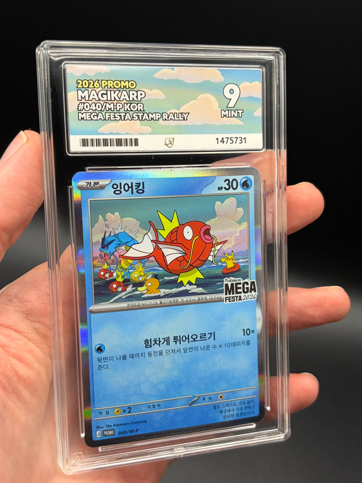 Close-up of Korean Magikarp #040 Mega Festa Stamp Rally 2026 Pokémon promo card in an ACE 9 Mint slab, showing holographic finish
